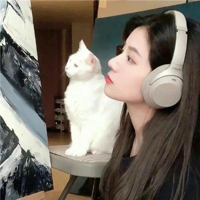 仓鼠与格蕾泰尔